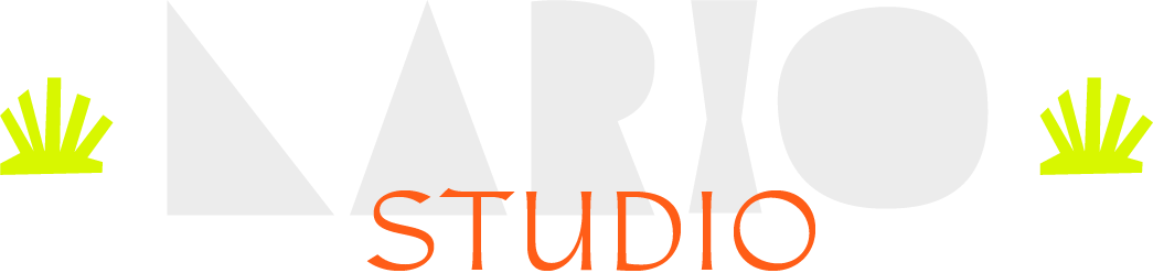 Lario Studio